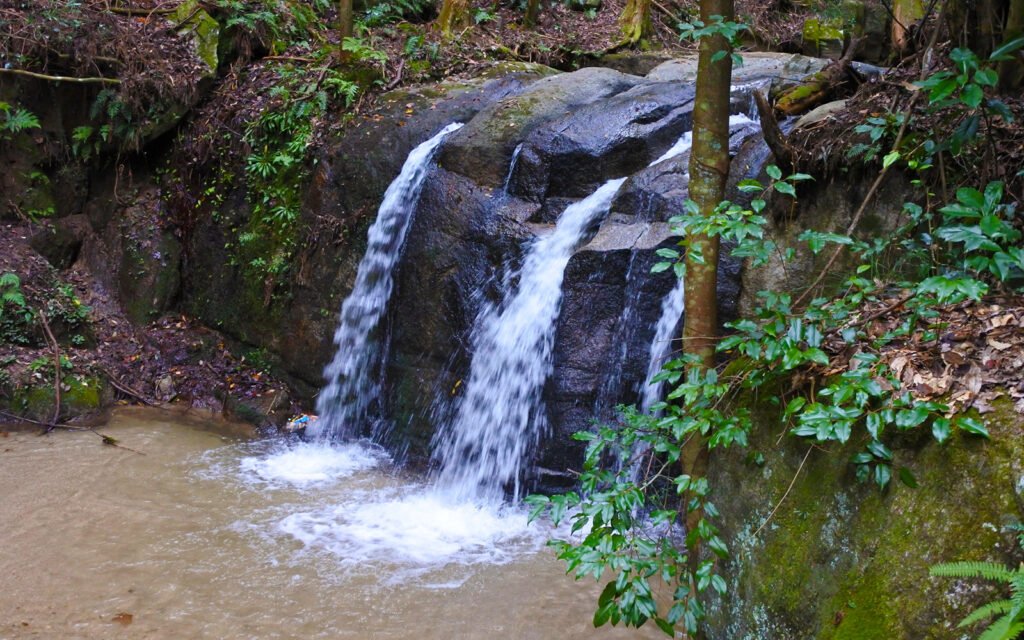 ⛩️ 사나게 신사 (사나게진자) 이미지 8